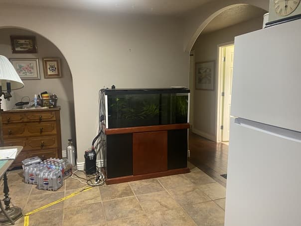 Image of my 75-gallon aquarium taken October 1 2025